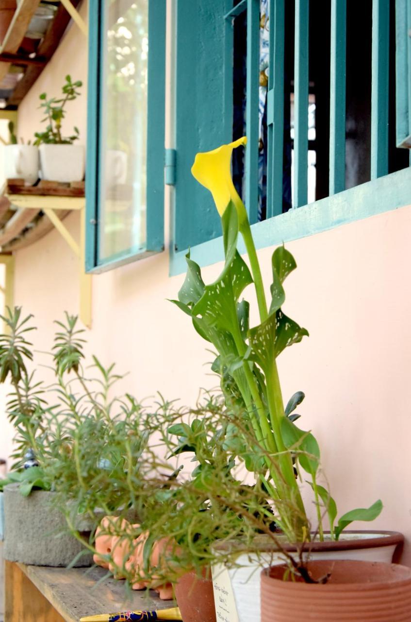 Py'S House Bed & Breakfast Nha Trang Exterior photo
