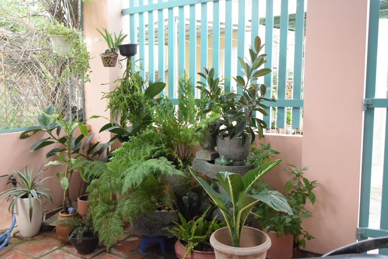 Py'S House Bed & Breakfast Nha Trang Exterior photo